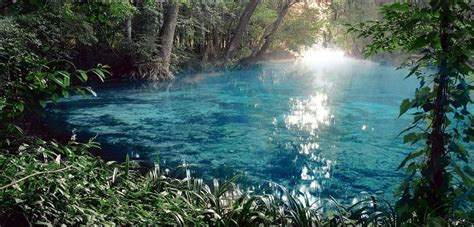 10 Secret Destinations In Florida Florida High Springs