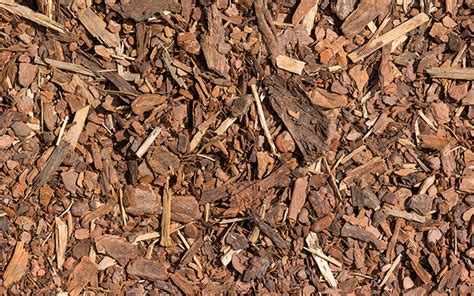 A Quick Guide To Bark And Wood Chippings David Domoney