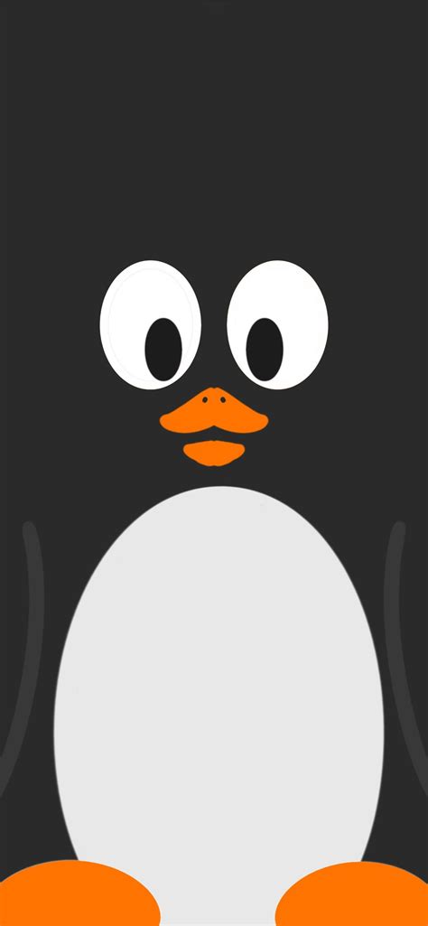Penguin Iphone Wallpapers Free Download