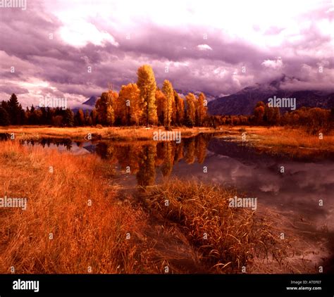 Grand Teton National Park In Wyoming And A Beaver Pond Along The Snake