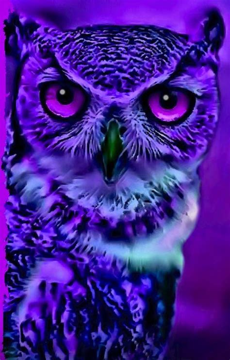 Pin By Dawn Luther On Everything Purple Purple Art Purple Owl