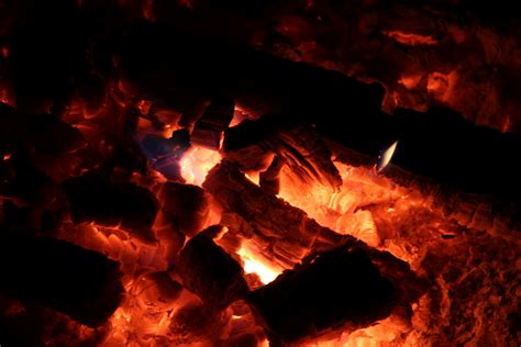 Camp Fire Coals Free Stock Photo Public Domain Pictures