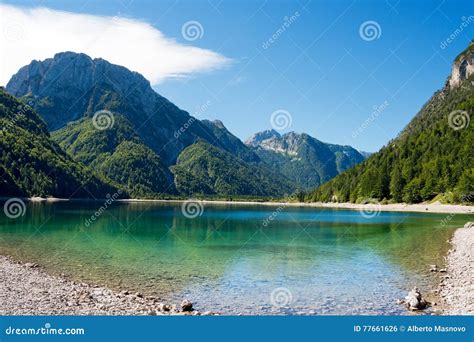 Lago Del Predil Friuli Italy Stock Photo Image Of Forest Clear