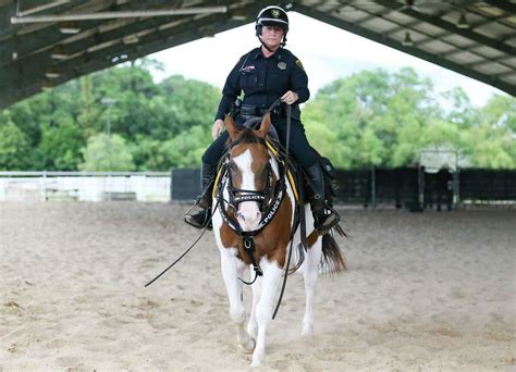 New Acres Homes Horse Named Matilda Joins Houston Polices Mounted Patrol