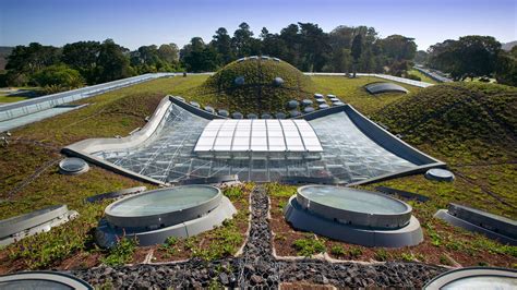 California Academy Of Sciences Swa Group