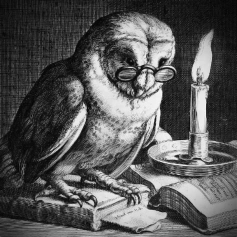 Owl Of Minerva Youtube
