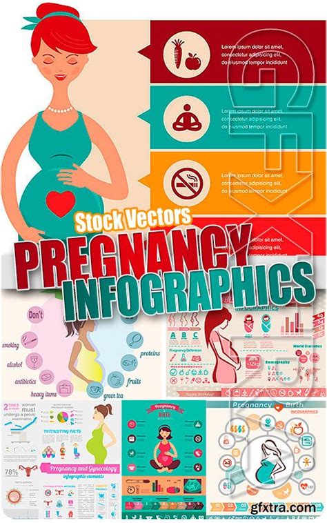 Pregnancy Infographic Stock Vectors Gfxtra