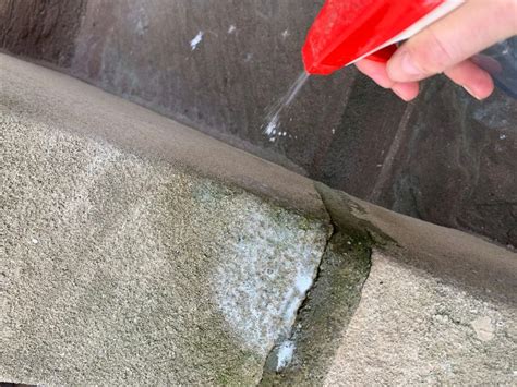 How To Clean Mold Or Mildew From Concrete And Stone Homeowner
