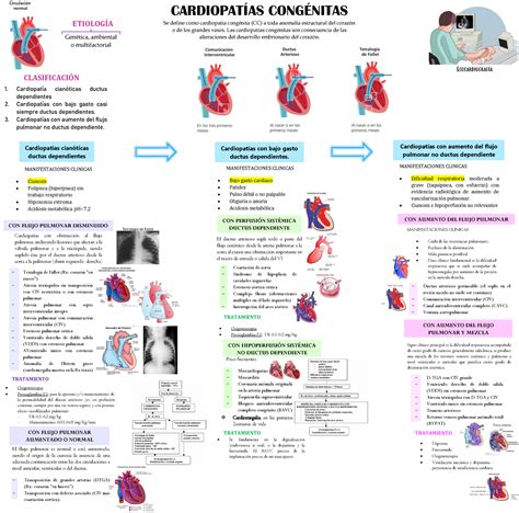 Cardiopatias Congenitas Cardiopatías Cianóticas Ductus Dependientes