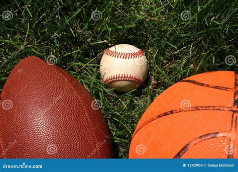 Sport Balls In Grass Stock Photo Image Of Green Group 1242908