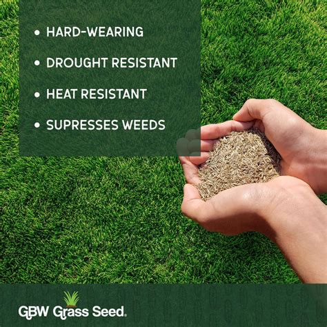 Gbw Grass Seed Gbw Capital