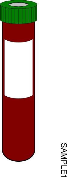 Blood Tube Clip Art At Vector Clip Art Online Royalty Free