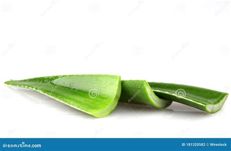 Aloe Vera Leaves Isolated On A White Background Stock Photo Image Of