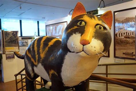 Visiting the World's Largest Cat Museum - Adventurous Pursuits