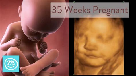 35 Weeks Gestation Hiccups Pregnancy