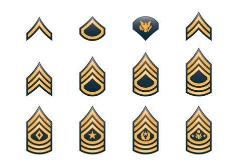 Premium Vector Us Army Enlisted Ranks Chevrons And Insignia All In