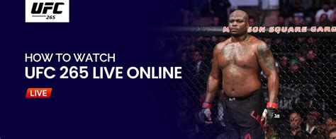 How To Watch Ufc 266 Live Online For Free Ufc Live Stream 2021