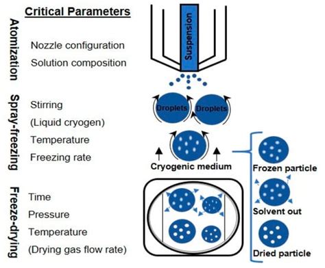Processes Special Issue Modern Freeze Drying Design For More