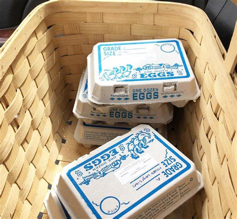 Paper Egg Cartons Stock Printed Eggcartonscom