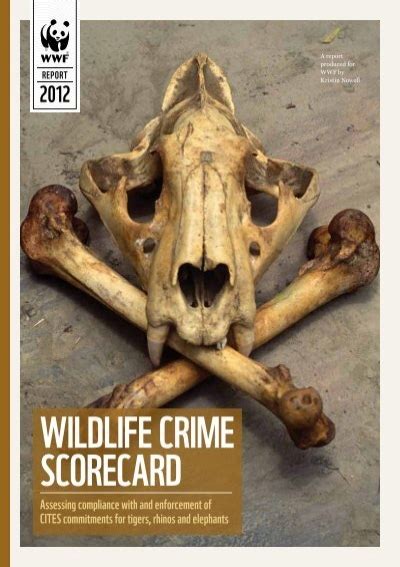 Wwf Wildlife Crime Scorecard Report