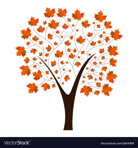 Autumn Maple Tree Royalty Free Vector Image Vectorstock