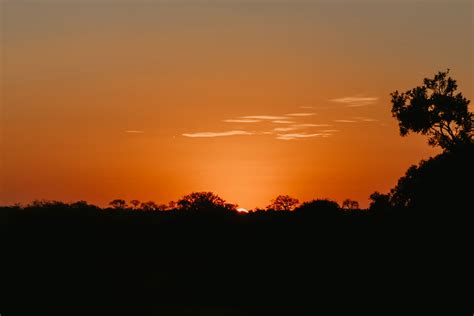 Safari Sunset Klaserie Reserve Sun Destinations Discover Africas