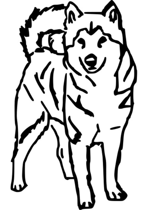 20 dessins de coloriage Chien De Traineau à Imprimer à imprimer
