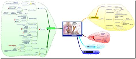 Medmaps Online Mindmap Resource For Medical Students And Doctors