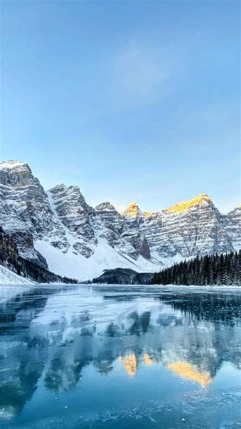 Download 750x1334 Wallpaper Moraine Lake Nature Reflections Forest