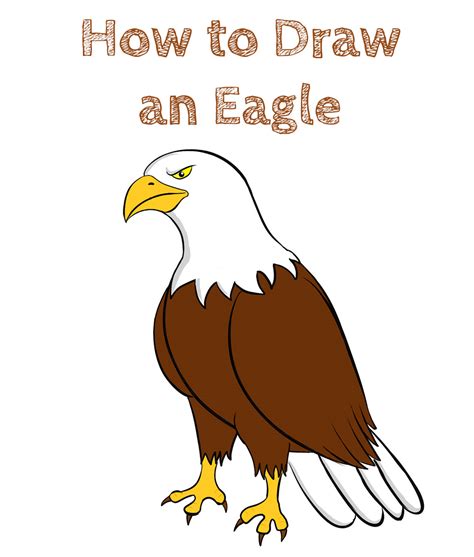 Easy How To Draw A Bald Eagle Tutorial And Eagle Coloring Page