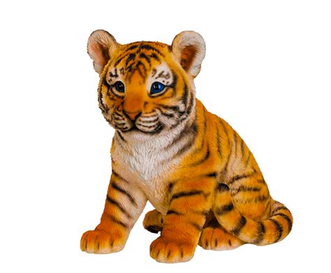 Collection Of Real Animal Png Pluspng