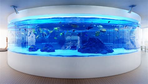 Aquarium Concepts And Design Ideas — Redfin Aquarium Design