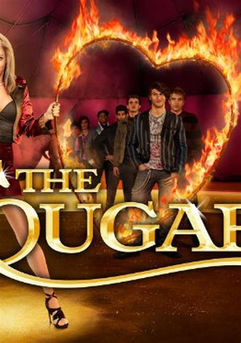 The Cougar Season 1 Watch Full Episodes Streaming Online