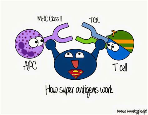 Superantigens02 Biology Jokes Microbiology Humor Biology Humor