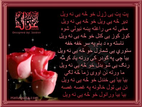 Very Sad Pashto Poetry Ghazal Shayari In Picture Design Flowers