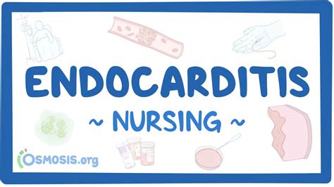 Endocarditis Clinical Nursing Care Youtube