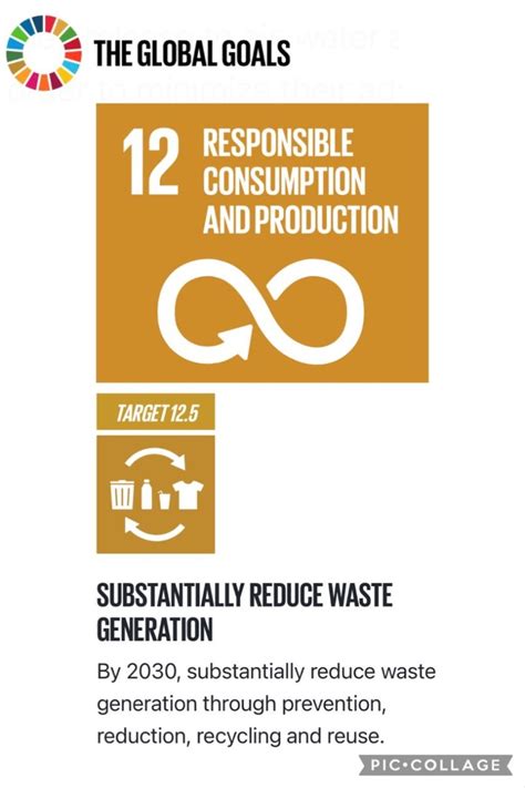 Global Goal 12 Responsible Consumption Primary 232223