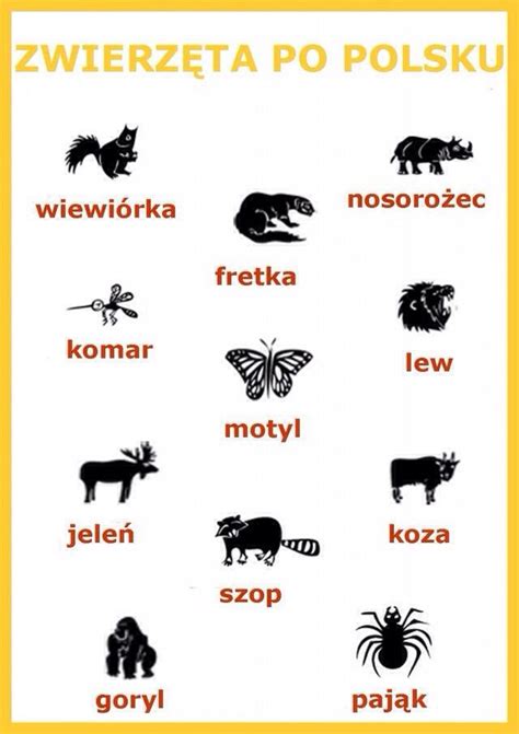 Polski Polish Language Learn Polish Polish Words
