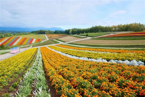 Blue Water Rolling Hills And A Patchwork Of Color Biei In Hokkaido Countryside Stays Japan