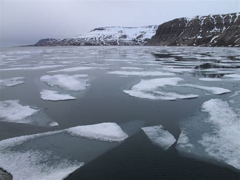 Svalbard Archipelago Expedition Digital Photography Review