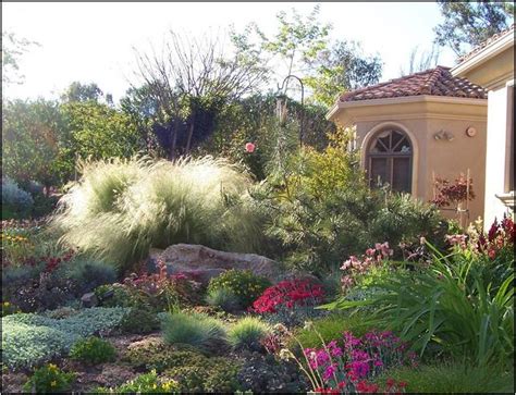Drought Tolerant Landscape Design San Diego Home Improvement