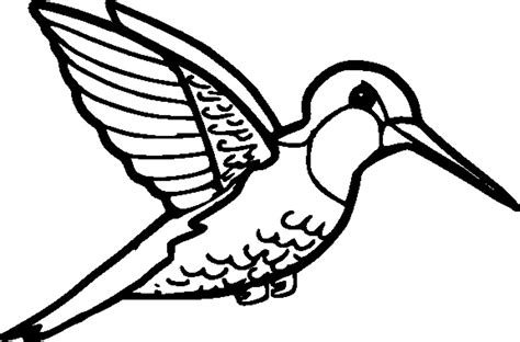 We have another beautiful day outside in this hummingbird coloring page. Hummingbird Coloring Pages Printable at GetColorings.com | Free printable colorings pages to ...