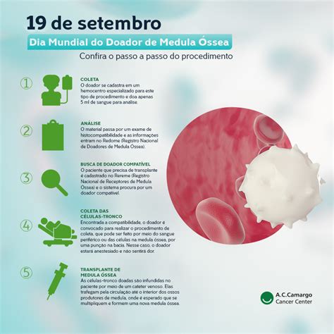 Função Da Medula Ossea