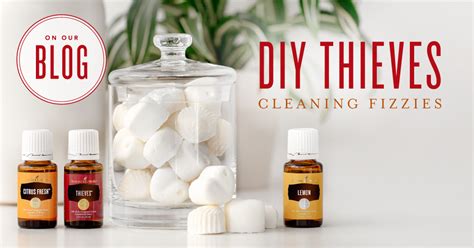 Check out an exciting, educational young living event in your area and discover. DIY cleaning fizzies with Thieves essential oil blend for ...