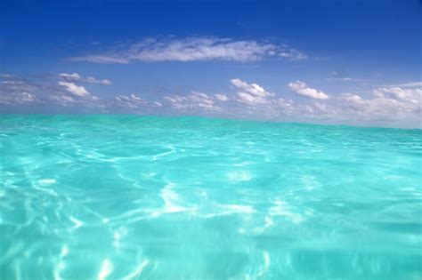 Premium Photo Blue Caribbean Sea Water Wave Horizon