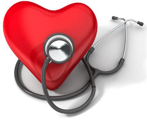 Cardiorespiratory Fitness — Sian Owen Physiotherapy