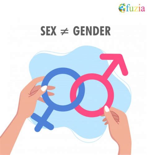 Differences Between Gender Sex And Sexual Identity Iv