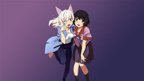 Illustration Hanekawa Tsubasa Monogatari Series Anime Cat Girl