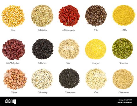 Collection Of 15 Different Kinds Of Grain Isolated On White Background