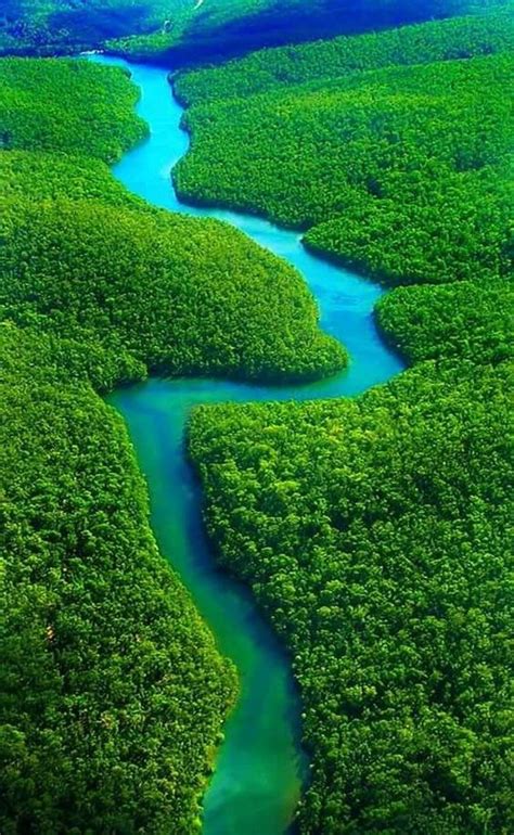 Amazon Rainforest Travel Guide And Tips | Amazon rainforest, Rainforest